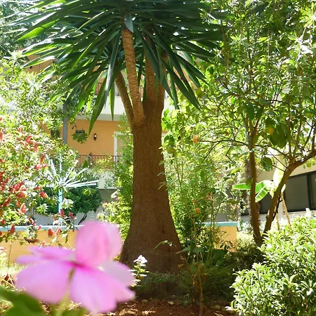 Alkionis Hotel Moraḯtika