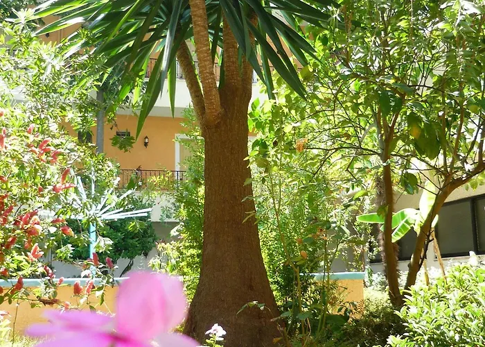 Alkionis Отель Мораитика